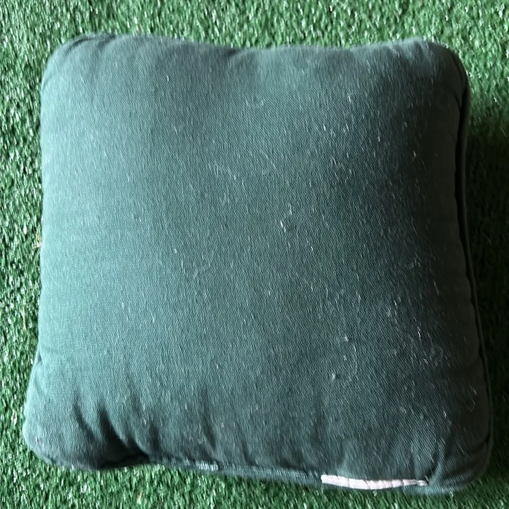 Polar Christmas Holiday pals pillow!